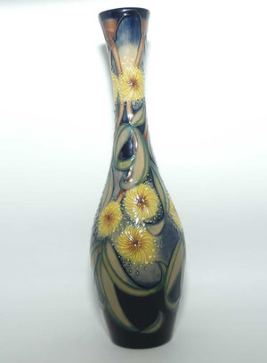 Moorcroft Ancient Origin 84/12 vase | Ltd Ed 21/40 | no box