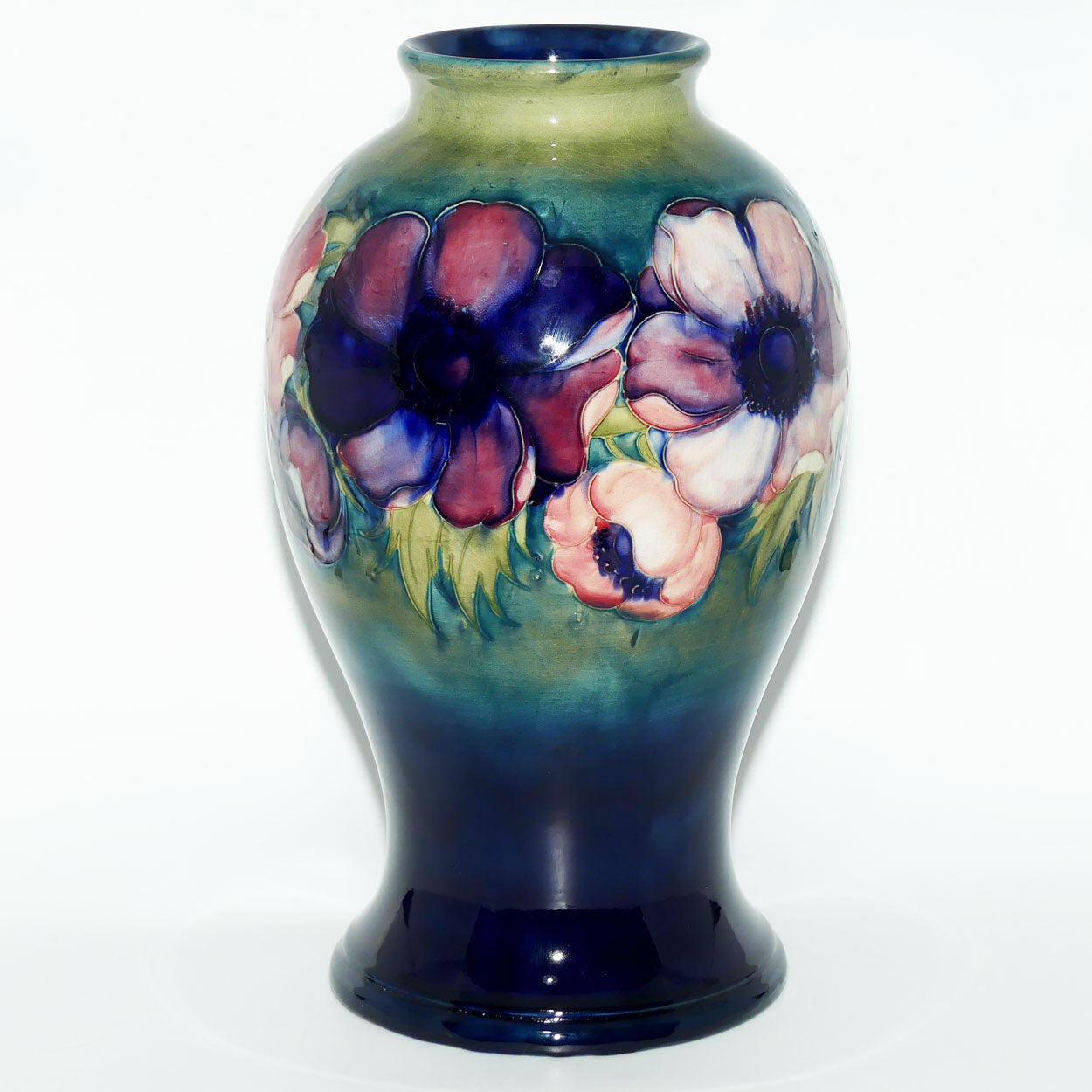 Walter Moorcroft Anemone on Green transition to Blue ground vase | 32cm tall