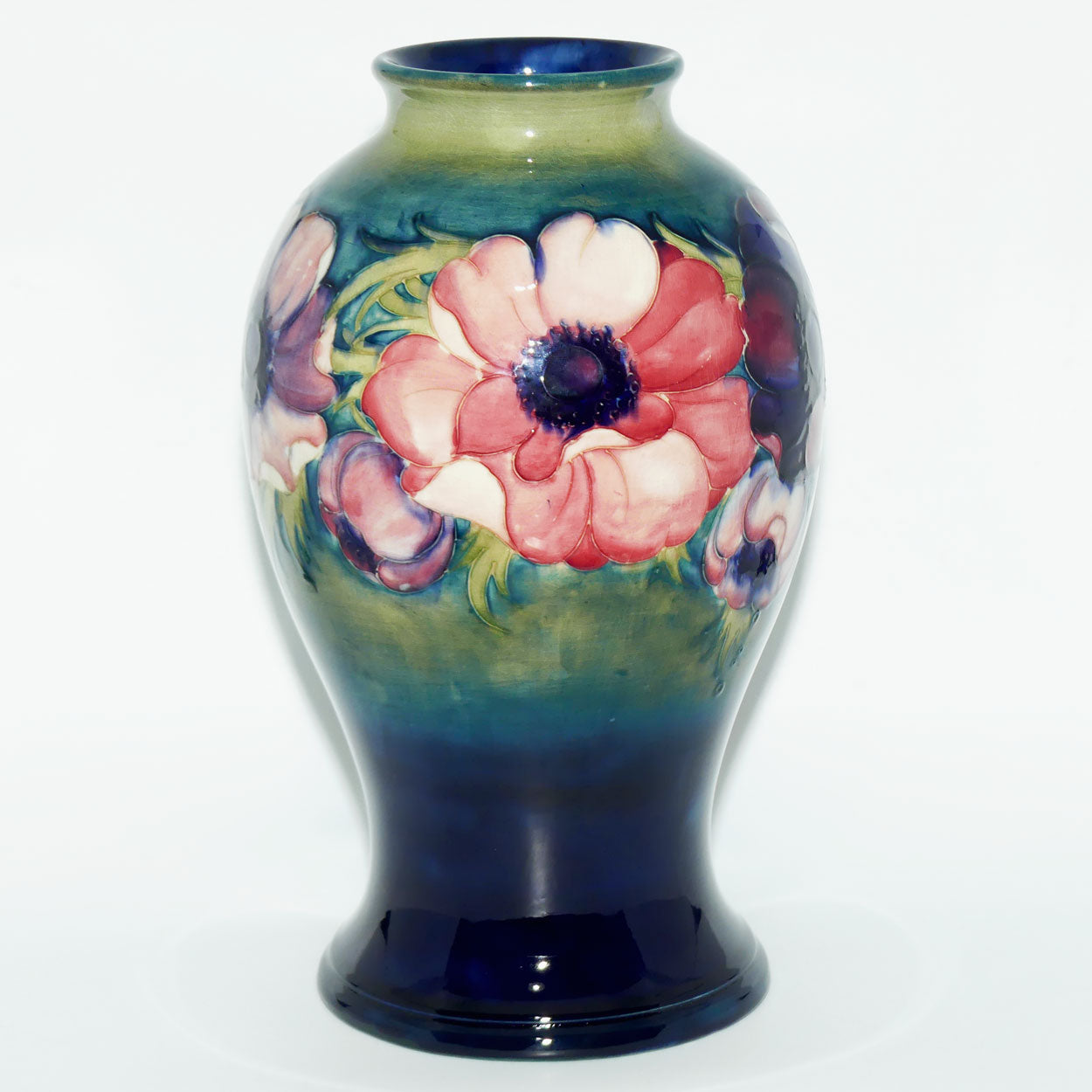 Walter Moorcroft Anemone on Green transition to Blue ground vase | 32cm tall