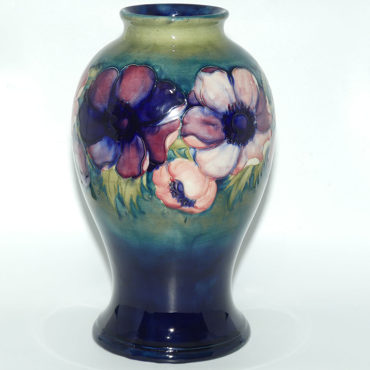 Walter Moorcroft Anemone on Green transition to Blue ground vase | 32cm tall