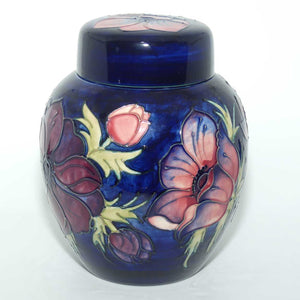 Moorcroft Anemone Blue 769/8 ginger jar