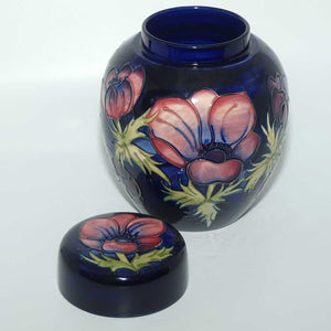 Moorcroft Anemone Blue 769/8 ginger jar