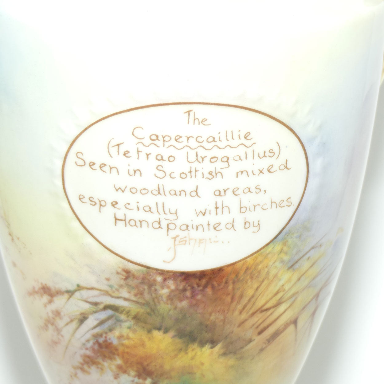 Aynsley Fine Art Collection Handpainted lidded Vase depicting the Capercaillie by J Shaw