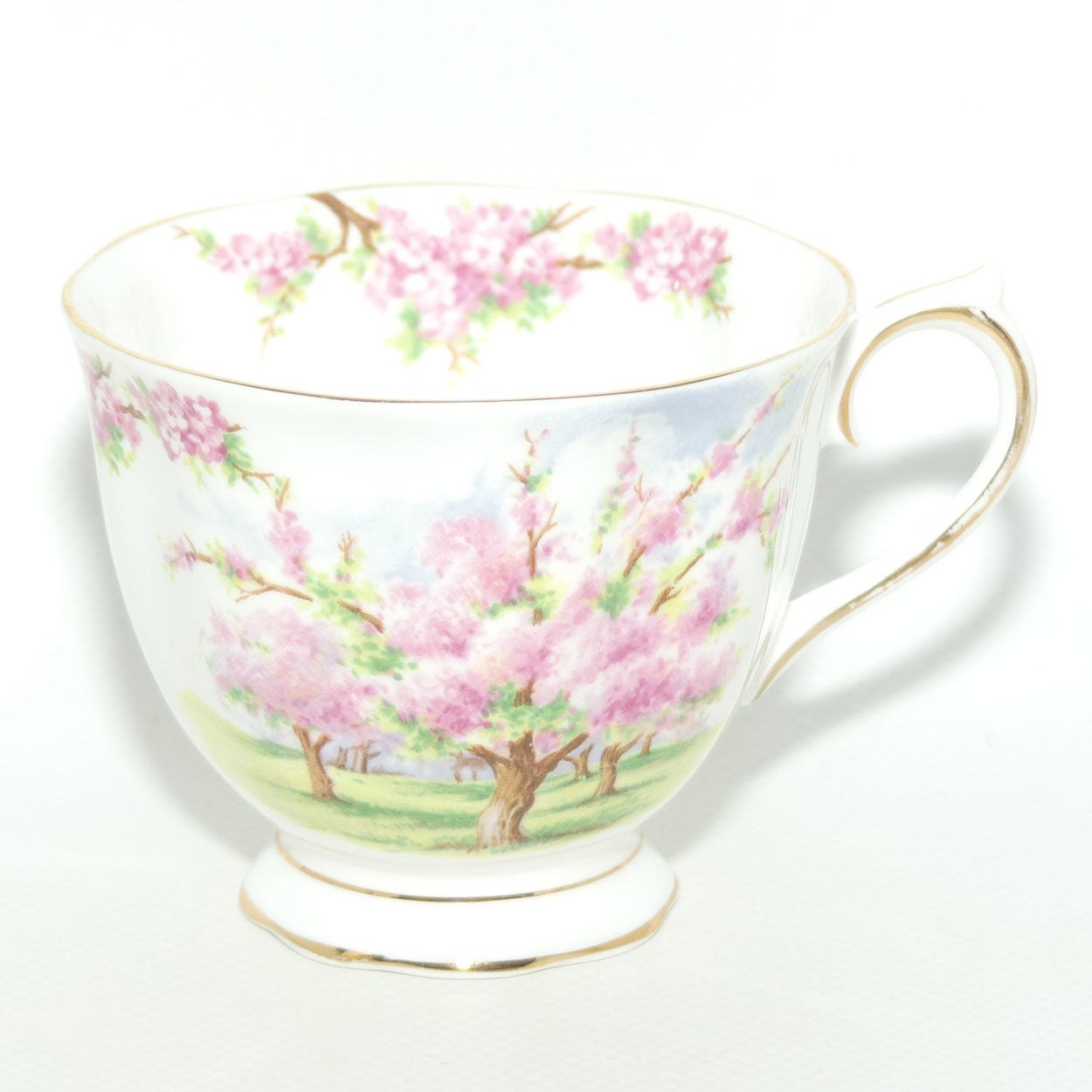 Royal Albert England Blossom Time tea trio | Malvern shape