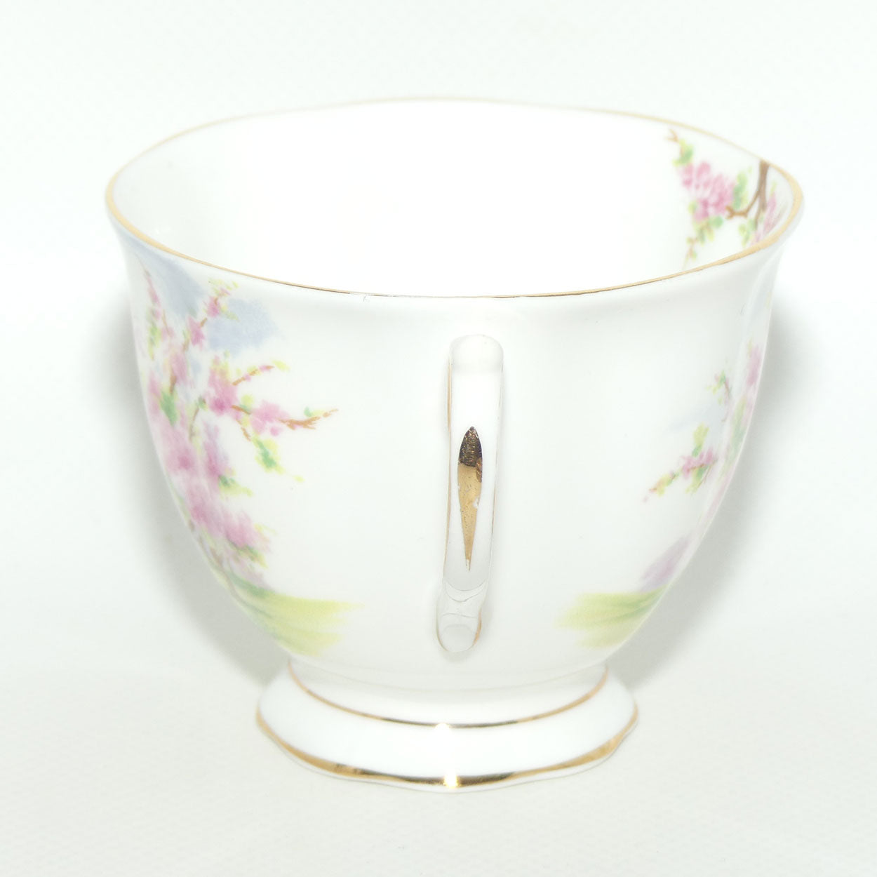 Royal Albert England Blossom Time tea trio | Malvern shape