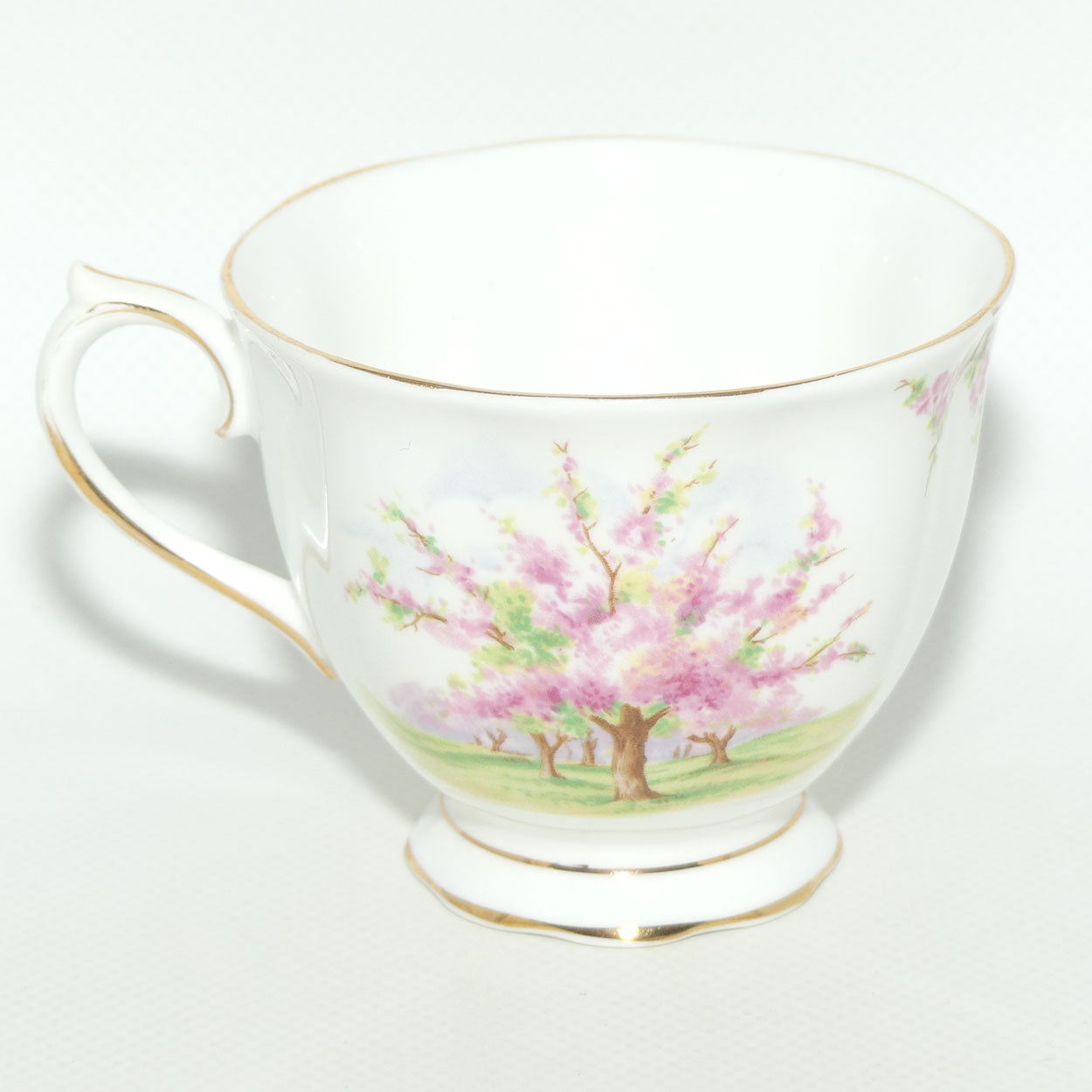 Royal Albert England Blossom Time tea trio | Malvern shape
