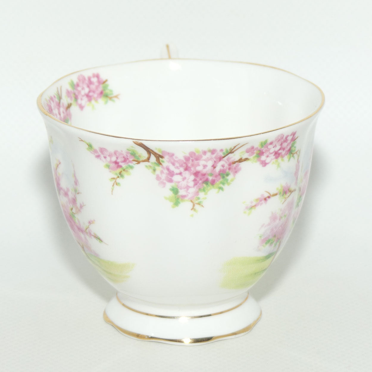 Royal Albert England Blossom Time tea trio | Malvern shape