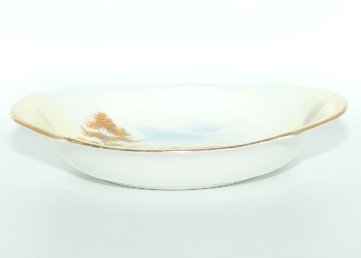 Royal Doulton English Cottages A bowl | Fine Bone China