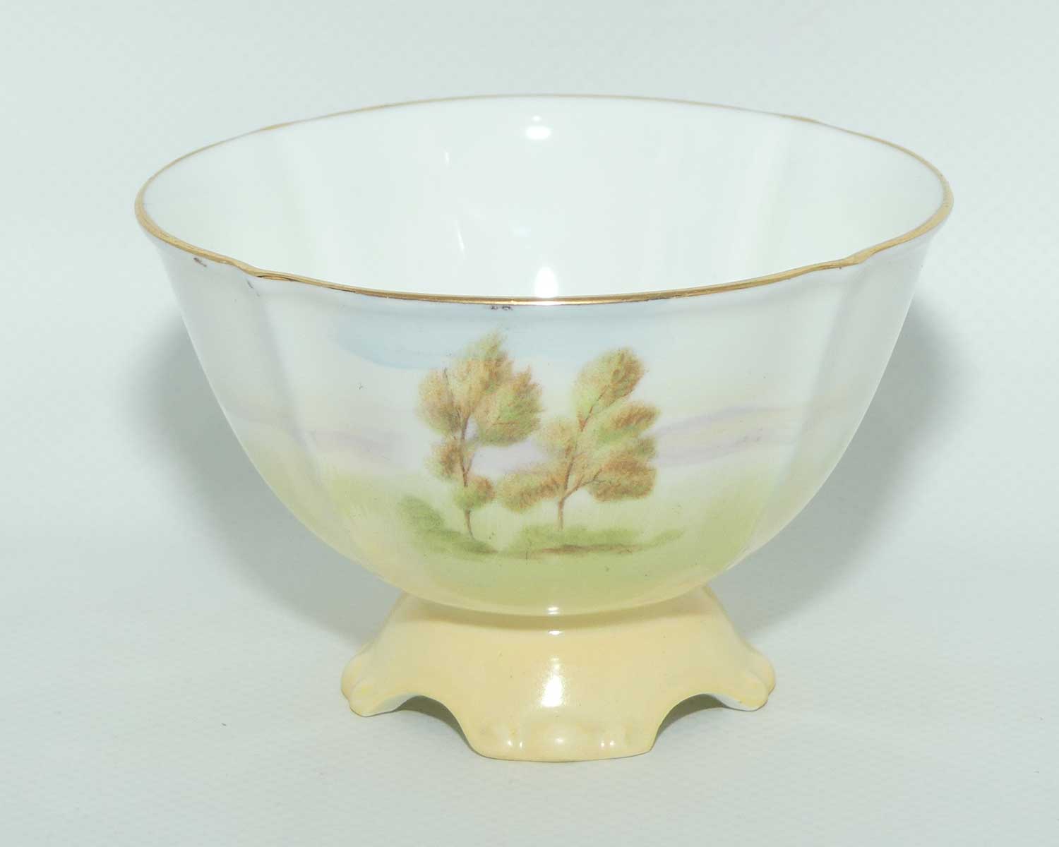 Royal Doulton English Cottages A fancy shape milk jug and sugar bowl | Fine Bone China