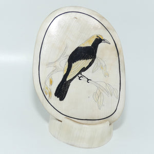 Enamelled Scrimshaw on Horn | Regent Bower Bird | Male