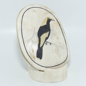 Enamelled Scrimshaw on Horn | Regent Bower Bird | Male