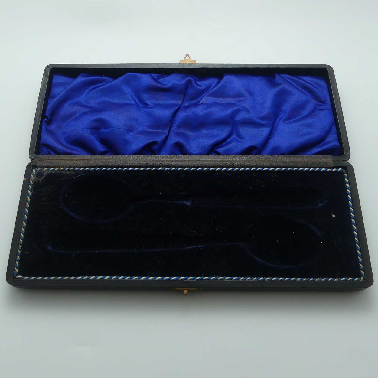 Boxed Silver Plated Edwardian era Bone Handled Berry Spoons set