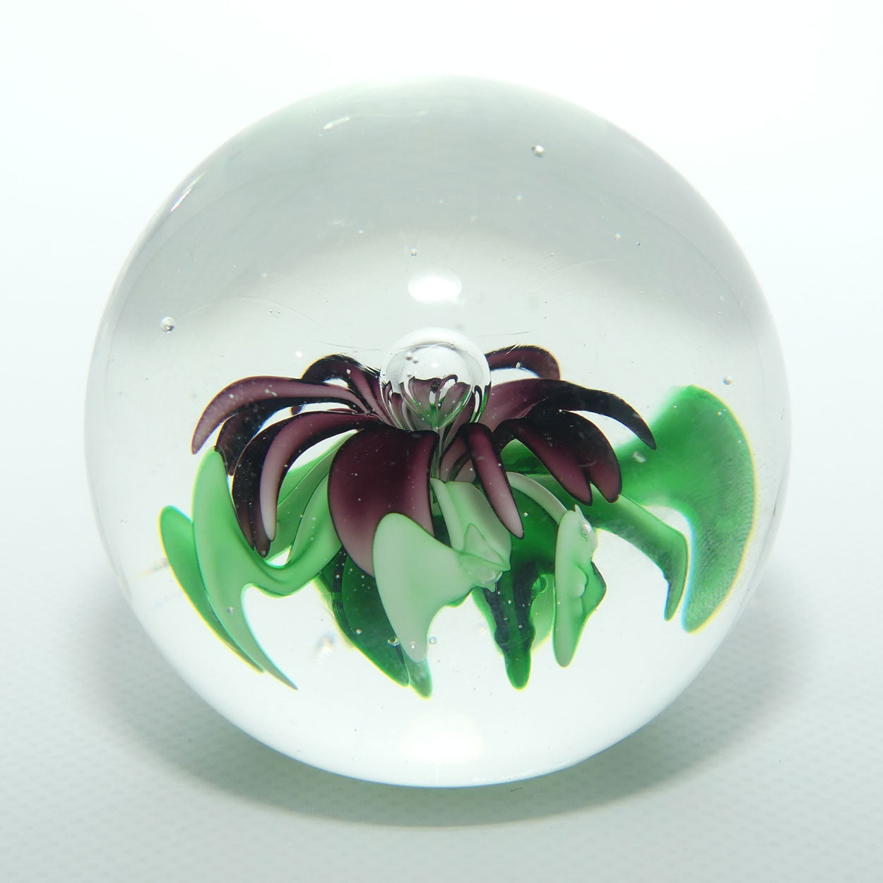 Controlled bubble with Purple and Green Flower large paperweight