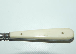 Victorian era Bone handle button hook