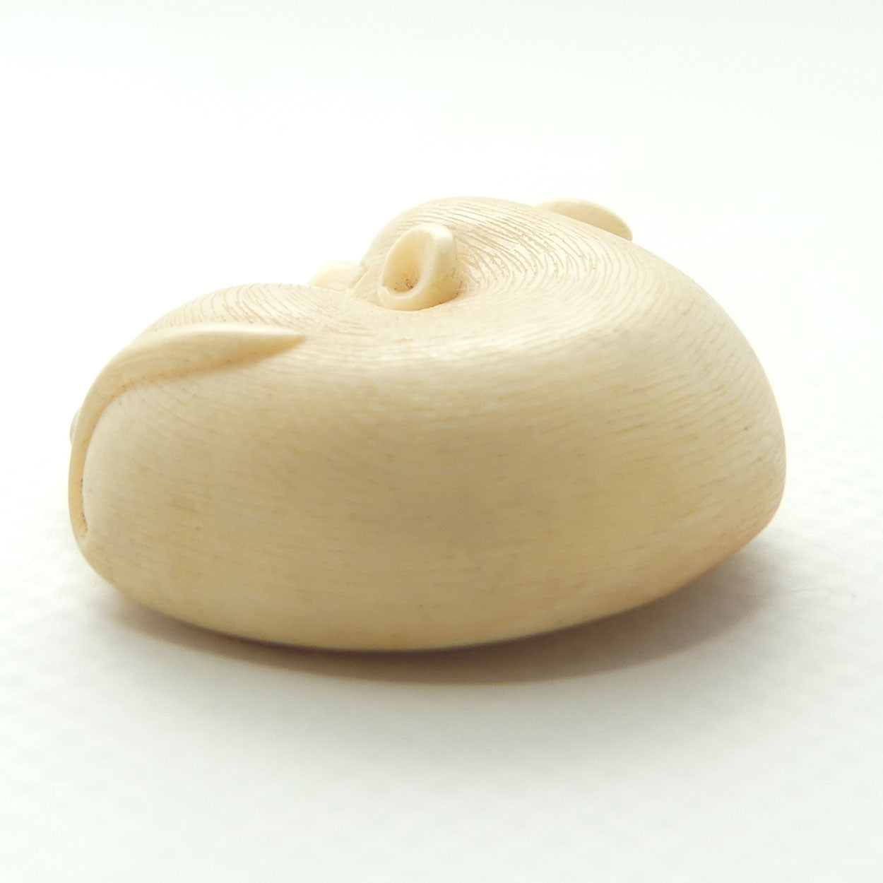 Japanese Carved Ivory miniature Okimono | Resting Calf