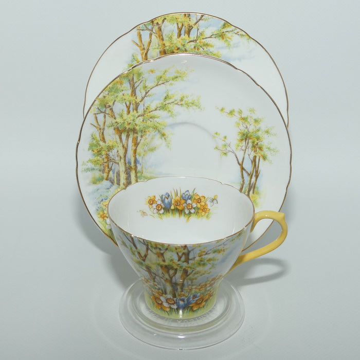 Shelley Bonę China, Daffodil Time Cup and deals Saucer