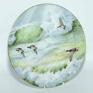 Royal Doulton Picture plate by Elizabeth Gray | Waterside series | Canadian Geese