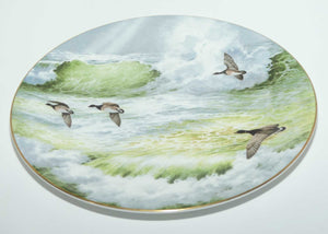 Royal Doulton Picture plate by Elizabeth Gray | Waterside series | Canadian Geese