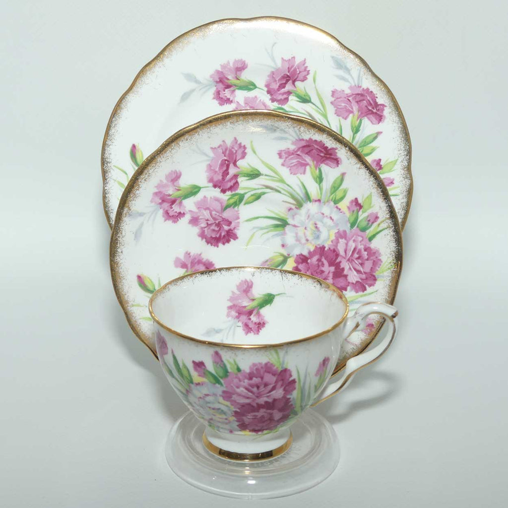 Royal Standard Carnation pattern trio