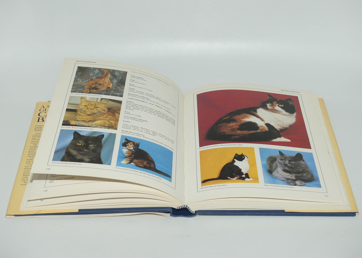 Hardback Book | A Standard Guide to Cat Breeds | Pond & Raleigh