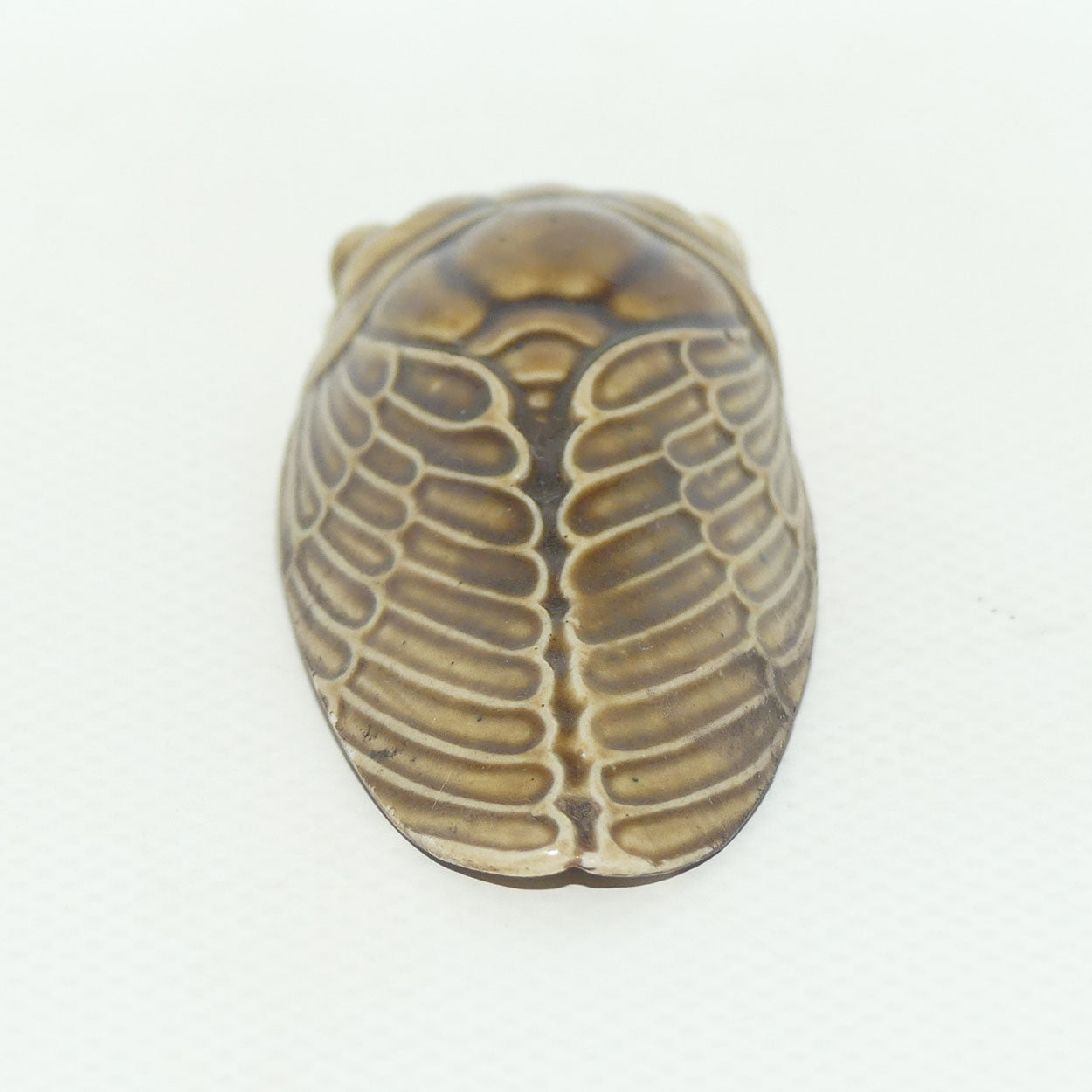 Figural Cicada Snuff Bottle | Entomology | Very Well Detailed