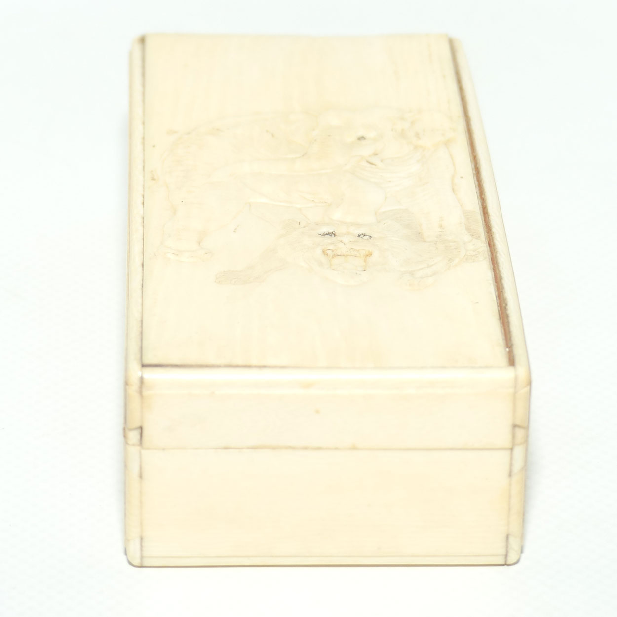 Carved Ivory trinket box depicting Elephant and Tiger