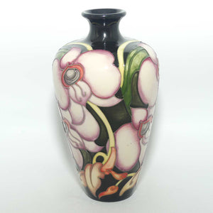 Moorcroft Cooktown Orchid 72/6 vase