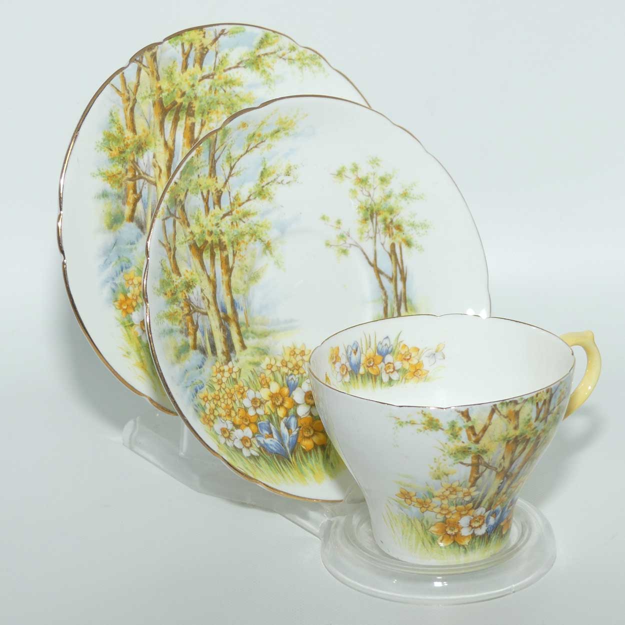 Shelley New Cambridge shape Daffodil Time tea trio | Gilt Trim | 13370
