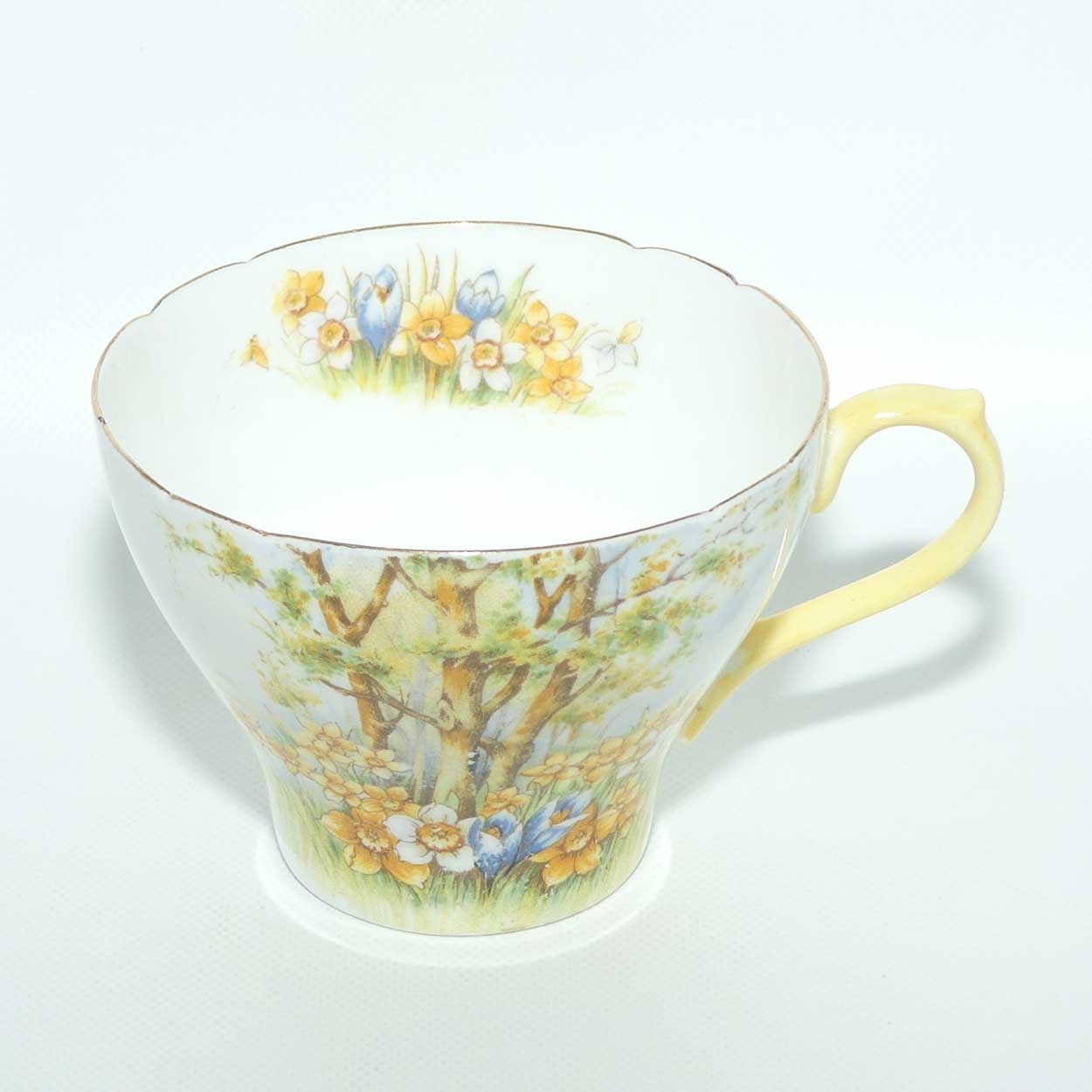Shelley New Cambridge shape Daffodil Time tea trio | Gilt Trim | 13370