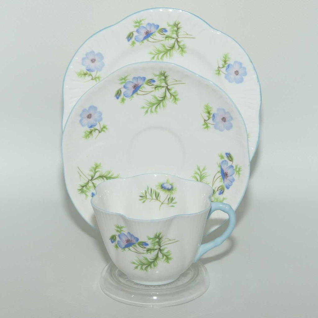 Shelley Dainty Shape Blue Poppy pattern trio | 14168