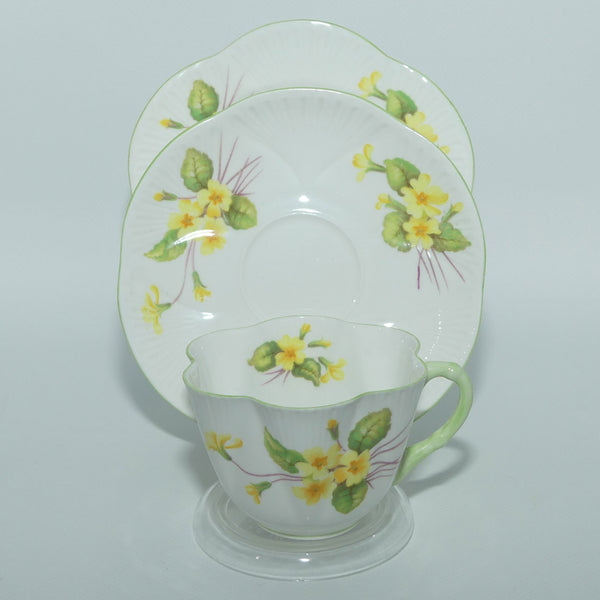 dainty_primrose_3a_600x600_cro