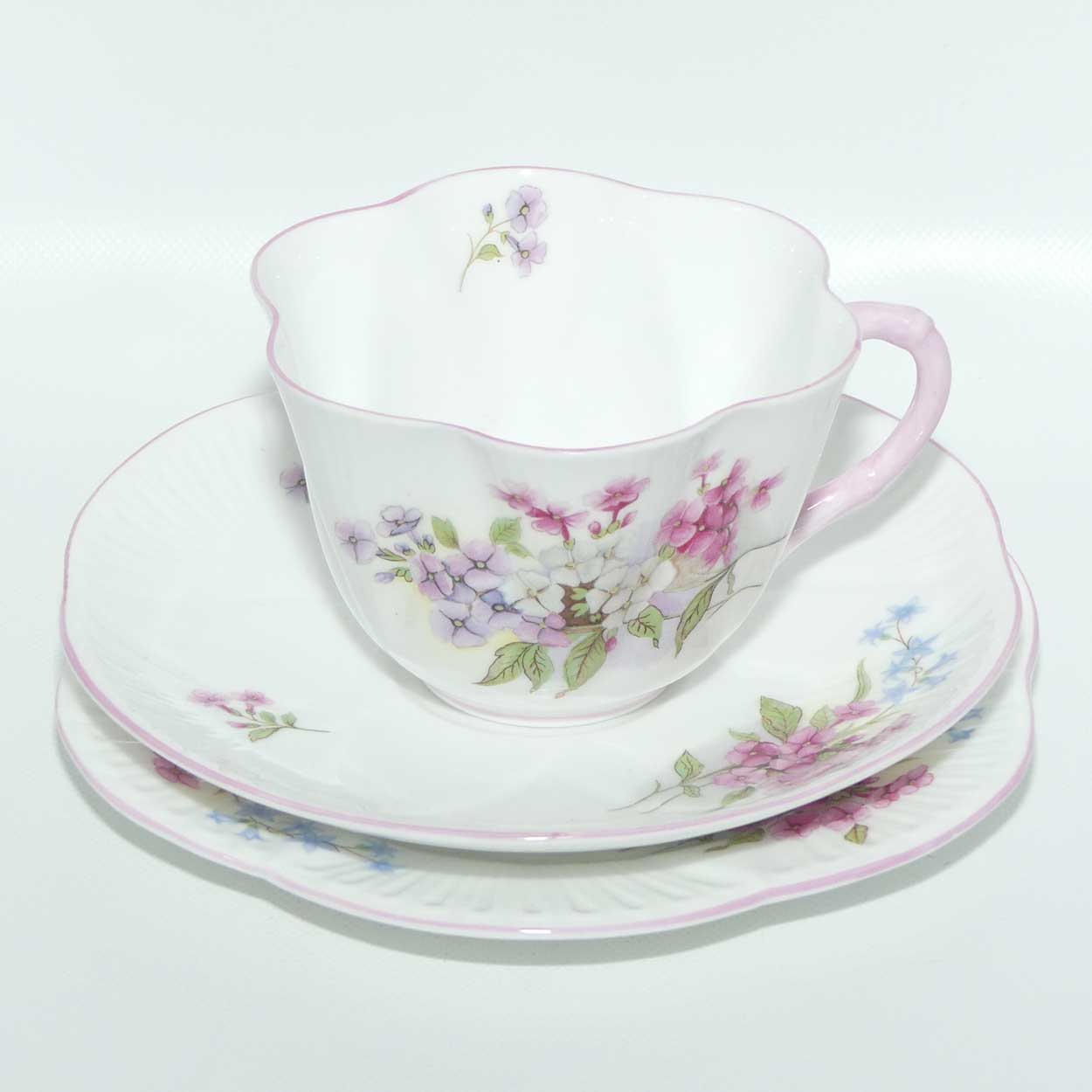 Shelley Dainty shape Stocks trio | Pattern 13428