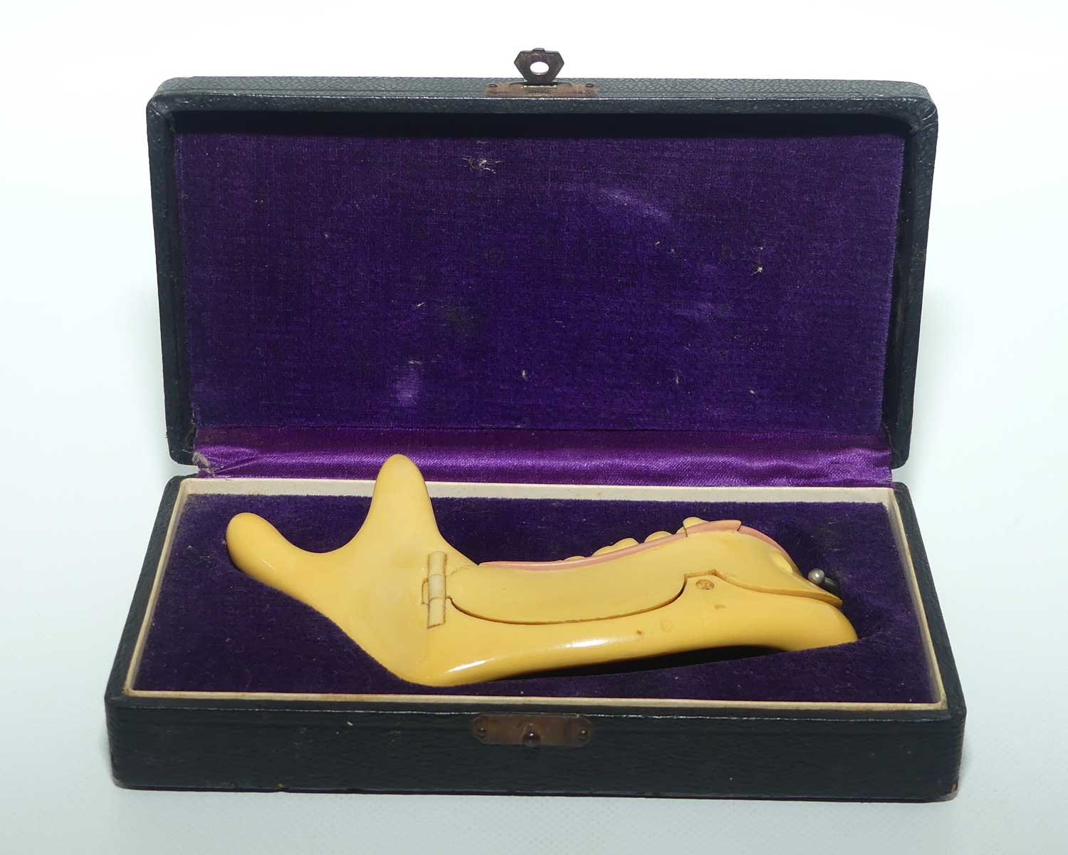 Dentist's Educational Display Mandible | Object Of Curiosity | made from Galalith or Bakelite