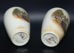 Pair of Dickens Grimwades England Lustre vases