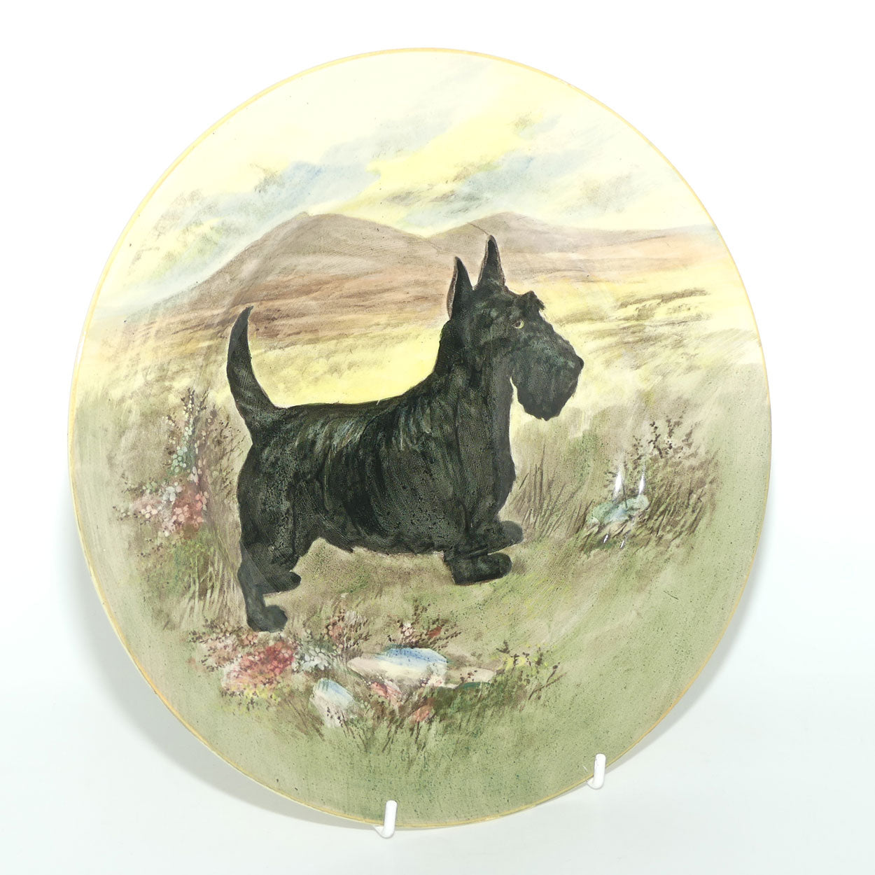 Royal Doulton Seriesware | Largest Range of old Series Ware