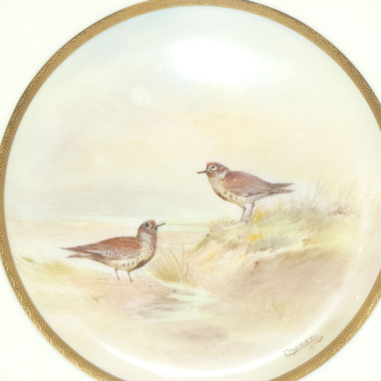 Royal Doulton Handpainted and Gilt plate Dunlin by Charles Hart