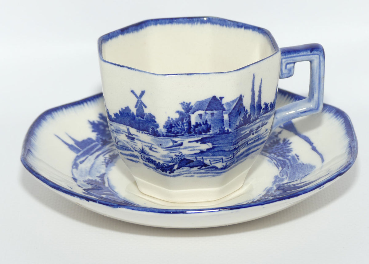 Royal Doulton Norfolk tea duo