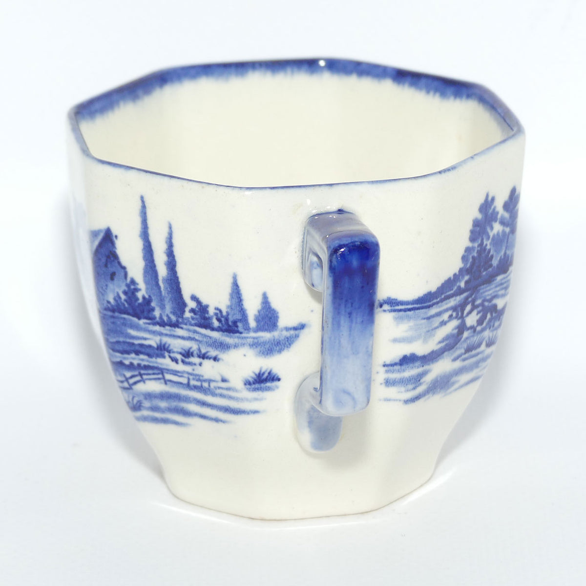 Royal Doulton Norfolk tea duo