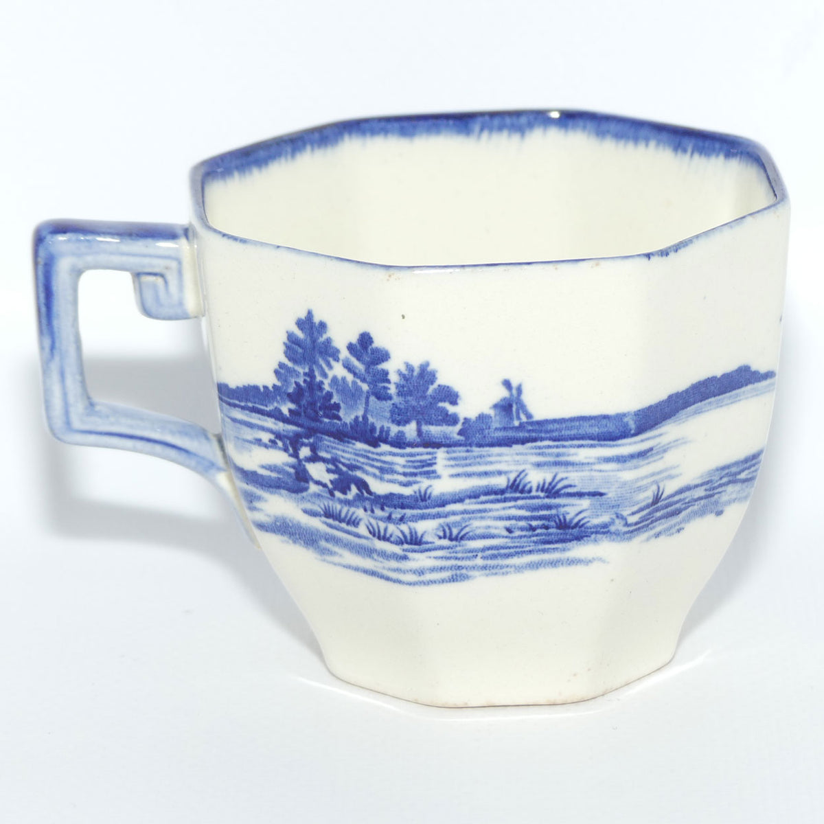 Royal Doulton Norfolk tea duo