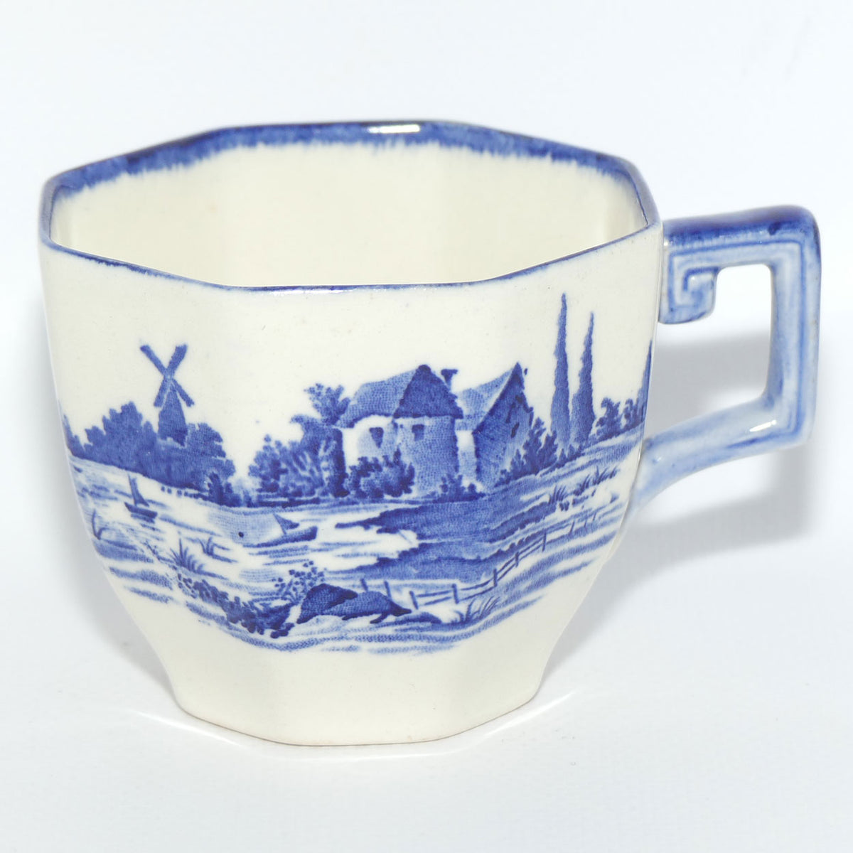 Royal Doulton Norfolk tea duo