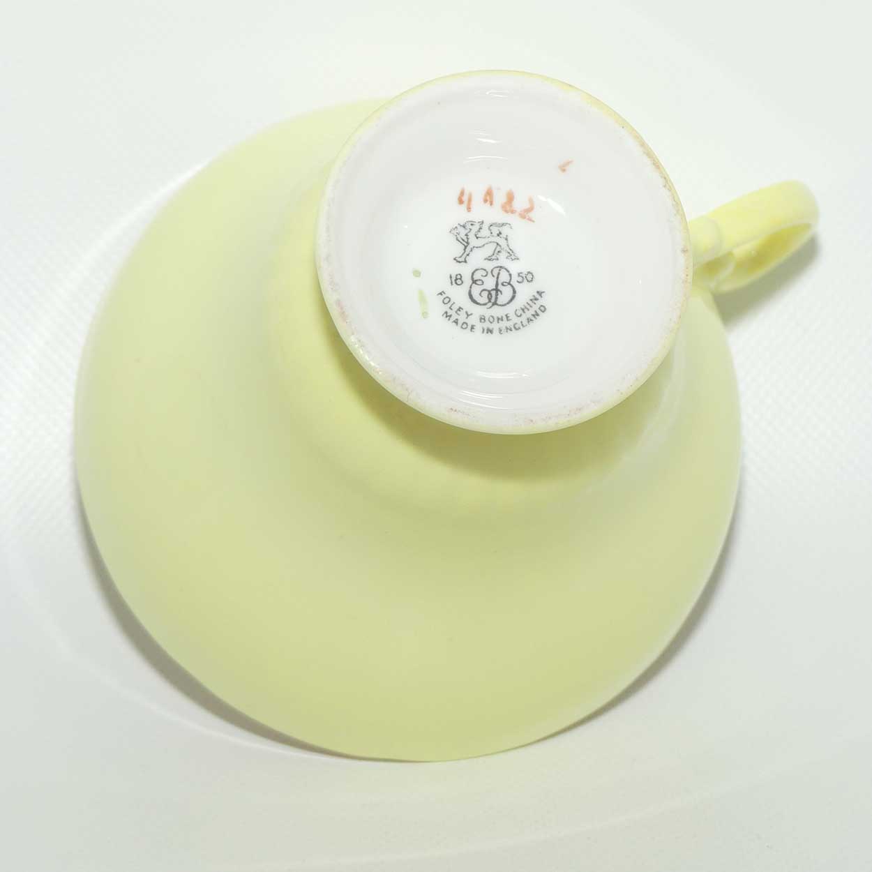 EB Foley Bone China Floral Spray trio | Buttercup Yellow wash | Footed cup