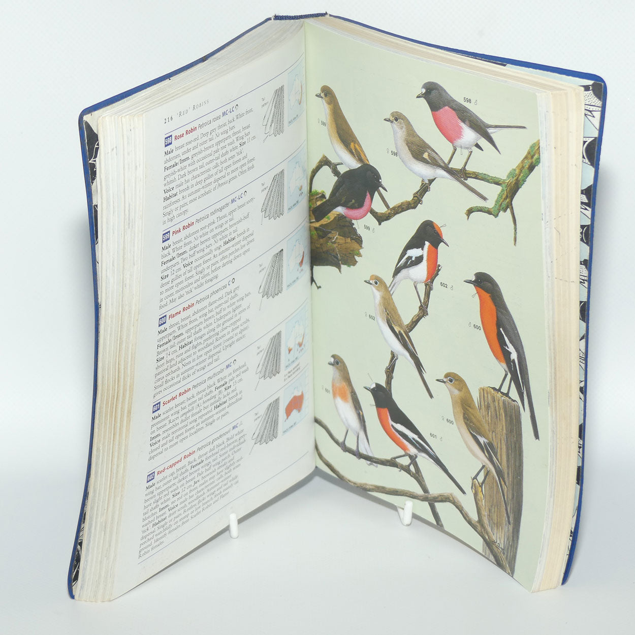 Reference Book | Simpson and Day Field Guide to the Birds of Australia: Fifth Edition