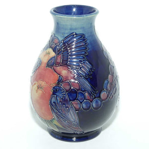 Moorcroft Finches 7/7 vase | Blue | boxed 