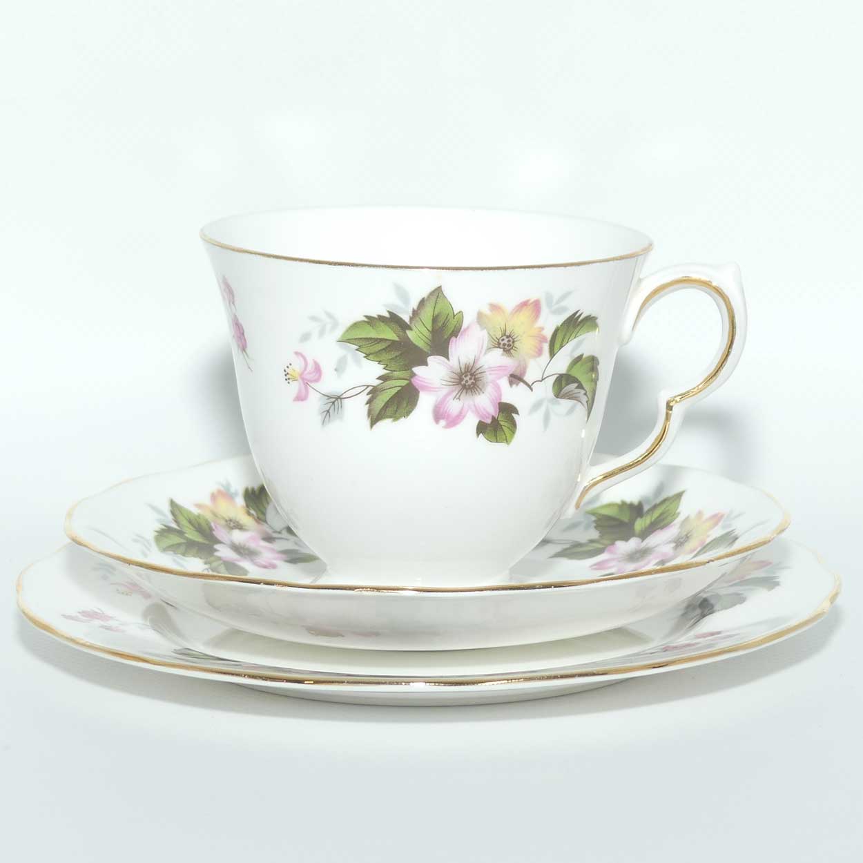 Queen Anne Bone China Pretty Floral pattern trio