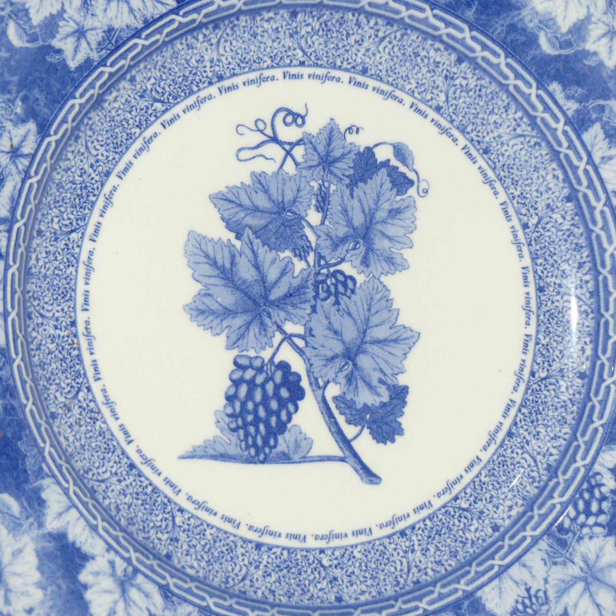 Wedgwood Vintage Blue | Blue and White plate | Grape Vine | 21cm diam