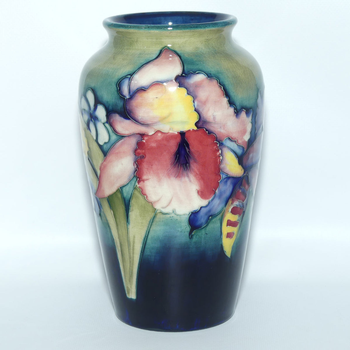 Walter Moorcroft Orchid on Light Green transition to Blue Ground vase | Shape 18/8