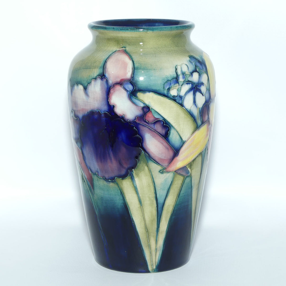 Walter Moorcroft Orchid on Light Green transition to Blue Ground vase | Shape 18/8