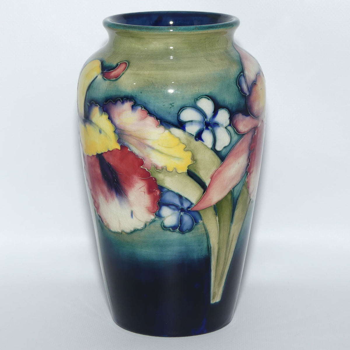 Walter Moorcroft Orchid on Light Green transition to Blue Ground vase | Shape 18/8