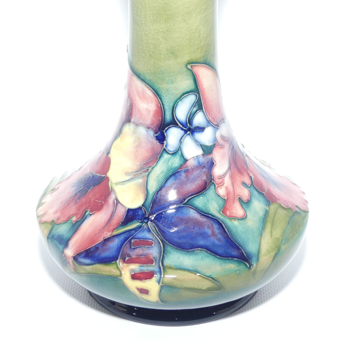 Walter Moorcroft Orchid on Light Green transition to Blue Ground vase | Shape 62/8