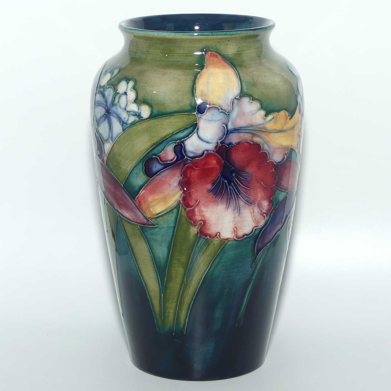 Walter Moorcroft Orchid on Light Green transition to Blue Ground vase | 21cm